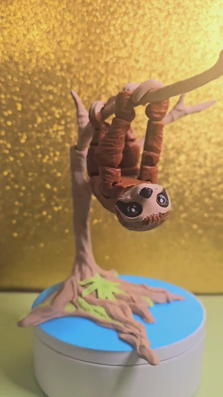 Adorable Articulating Sloth